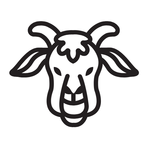 Animal Face