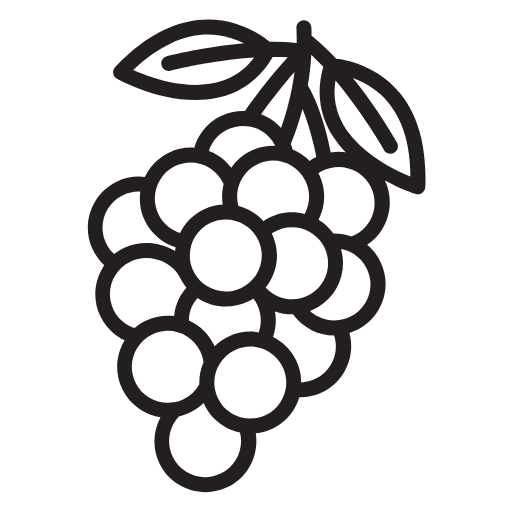Fruit