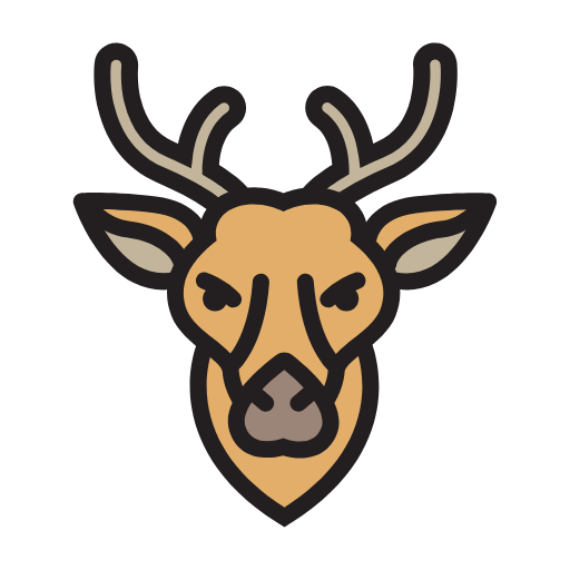 Safari