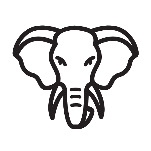 Safari