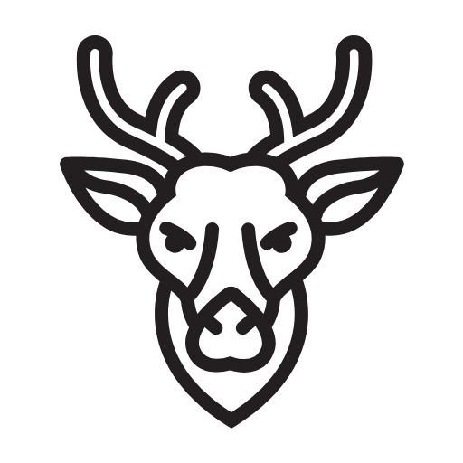 Safari