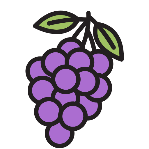 Fruit