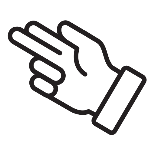 Hand Gestures
