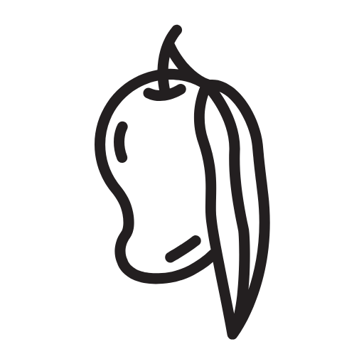Fruit